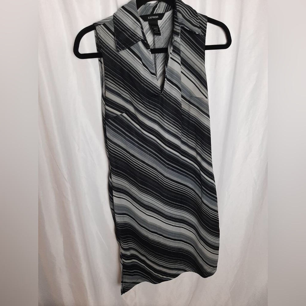 Express Stripped Dress